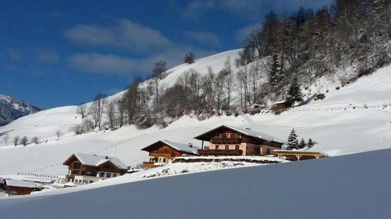 Gaestehaus Hagenhofer Apartamento Dorfgastein Exterior foto